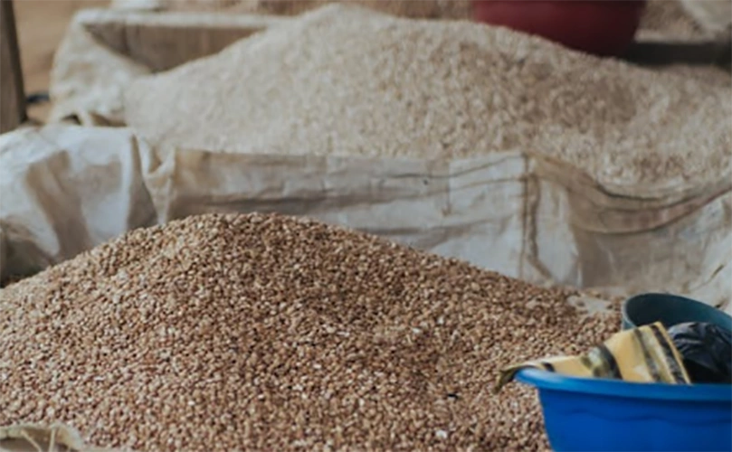 Foto: Mahmoud Yahyaoui, pexels.com